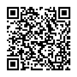 后面抱木桩的大汉已经变成抱了三支火箭筒跳下来二维码生成