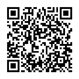 后面的一只幽游天冥蛟直接朝着季若离的后背刺了过去二维码生成