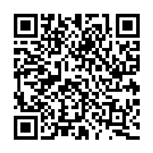 后面的几十个文明已经发现了前面几十个文明的遗迹和尸骸二维码生成