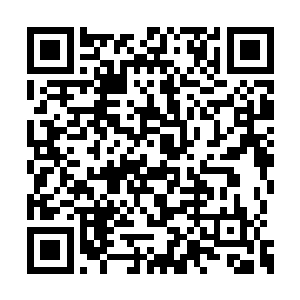 后面的四个大家族则是跟随大秦帝国一起建立的二维码生成