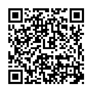 后面的死亡军团的死亡生命并没有同时发动攻击二维码生成