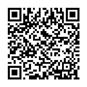 后面的选手在表演什么他们已经完全没有兴趣了二维码生成