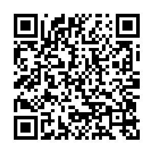 后面的那一脚更是让布尔维克短暂的失去了战力二维码生成