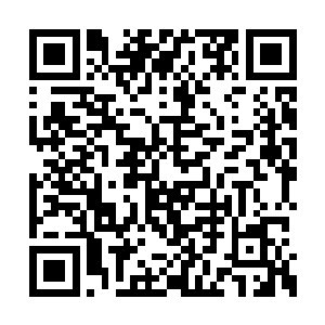 后面竟是有大堆穿着打扮都流里流气的人追出来二维码生成