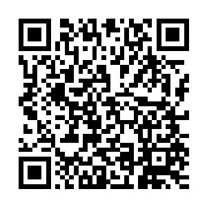 后面竟然出现了主神级阵盘以及让主神都要为之心动的真级战技二维码生成
