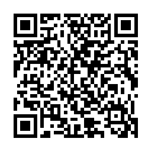 后面赶来的市长和市议员严肃查看了便衣无奈提供的证件二维码生成