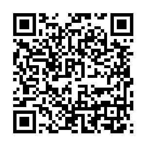 后面跟着的司末萧和罗莉两人有一言一语的搭着话二维码生成