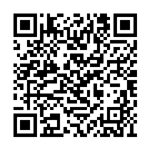 后面跟着的那个男子被拦在了一个大铁门的外面二维码生成