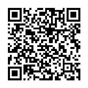 后面还没献酒的还期待着他的超级好评给自己添彩二维码生成