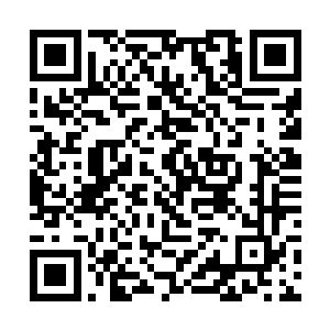 向两天前就抵达了永夜大陆的宋子宁发出约定的信息二维码生成