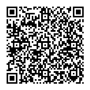 向中央提出恢复大飞机计划的战略构想以促成国内商用大型飞机重新上马带动整个航空制造产业的复苏发展等等二维码生成