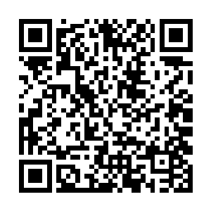 向他介绍拉维斯的都城――费尔哈拉的诸多特色之处二维码生成