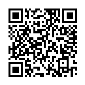 向伊布拉希莫维奇出示了第二张黄牌二维码生成