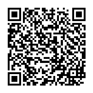 向公众展示他们采集数据的真实性也就将更多星海中央的惨剧剖开来二维码生成