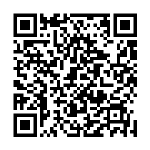 向华夏九伪界和幽冥域叠加所形成的紫青两色千丈光团劈去二维码生成