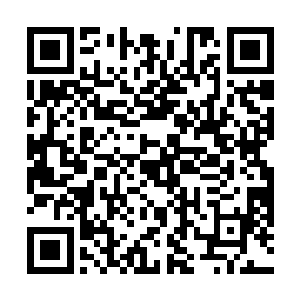 向天明和大长老迅速的就回到了杨柔和杨林藏身的地方二维码生成