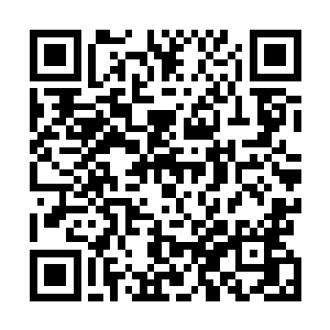 向婉基本就是用电话给丈夫翻译了一遍那篇游记里的见闻二维码生成