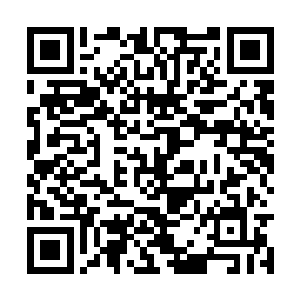 向婉左手抓起铅笔在记事簿上随手记下复杂的数字二维码生成