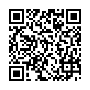 向婉都不知道他把好几枚戒指藏在内袋里二维码生成