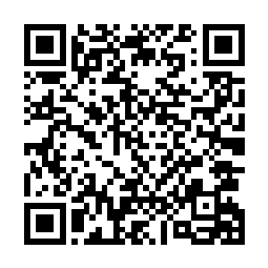 向宗门提出其他更高的条件――搞定这俩守门弟子就行了二维码生成