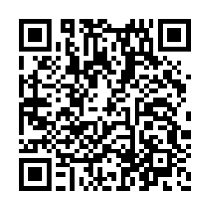 向将镜头对准他的摄影记者和粉丝们打了个招呼二维码生成