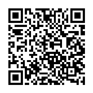 向政府反映反映他们那种破坏改革开放大气氛的作为二维码生成