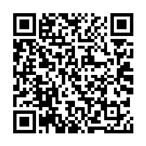 向敌人阵地最前沿驻守的一个排发起了亡命突击二维码生成