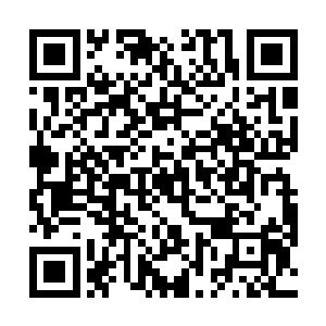 向文东的到来对整个蓝岛政坛的影响震动还是相当大的二维码生成