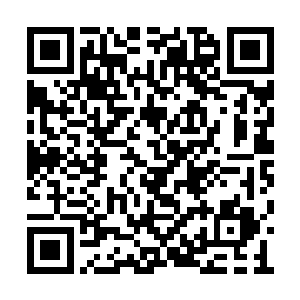 向最近的一处尸兄盘踞的巢穴－－金鼎大厦而来二维码生成