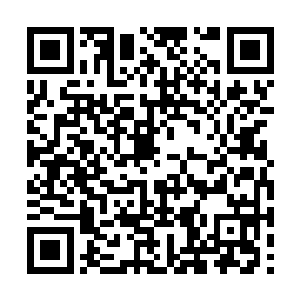 向来以夏天宇作为楷模的她自然看不上普通的男生二维码生成