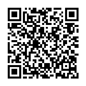 向来并称的自己两人竟然没有真正的搏命战斗过二维码生成