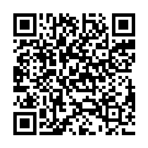 向来是供不应求的――因为二阶巫师就可以使用魔毯了二维码生成