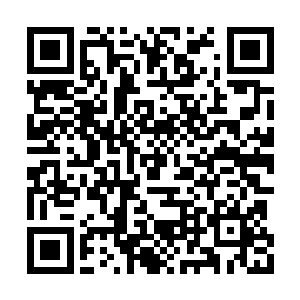 向漂浮在其头顶上方不远处的剑意种子一照而去二维码生成