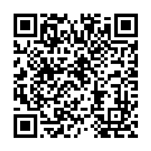 向着四面八方散去的神识回应以及夜空里的琴音都在告诉他二维码生成