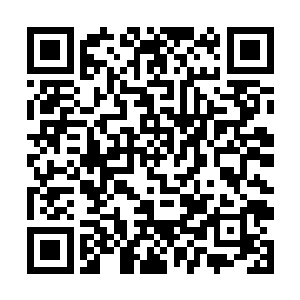 向着秦方远去的方向追去了……秦方虽然提前跑路了二维码生成