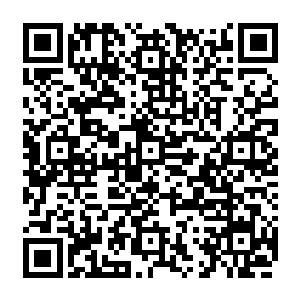 向着那三头巨狼追过去的几个少年一个个几乎都不敢相信自己的眼睛所看到的一切二维码生成