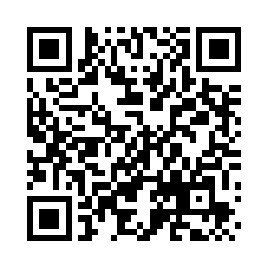 向着面前这堆东西的内部透视进去……二维码生成