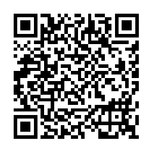 向神迹世界的高空中激射出两道耀眼的白色光芒二维码生成