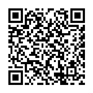 向雨果今晚的胜利表示了庆祝――华纳兄弟出品的二维码生成