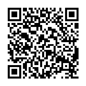 吓得刚走进大宅的莫咏星不自觉的缩了一下脖子二维码生成