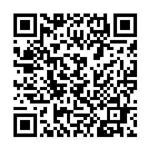 吓得花久久连忙把装花瓶的盒子胡乱塞进了一个角落二维码生成