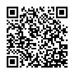 吕一剑一直都没有从失去枇杷网的痛苦中缓过神来二维码生成