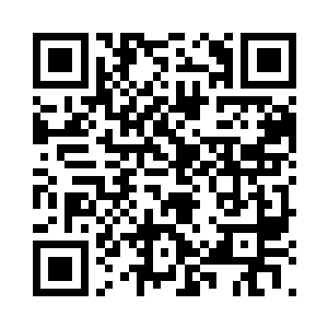 吕家的护卫怎么可能跟平南将军府的暗卫比二维码生成