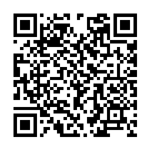 吕惜文没想到苍明一出来便直接给她来了个硬碰硬二维码生成
