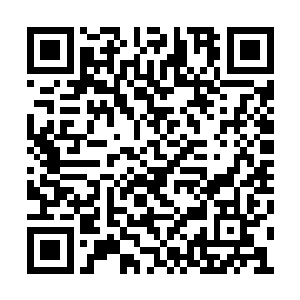 吕诚见到自己地仙修为的坐骑被人用定身法定住二维码生成