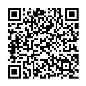 吕轻尘也不知道自己的真实身份以及小明和文文的存在二维码生成