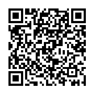 吕轻尘既然肯牺牲全部的五座至尊战堡来布这个局二维码生成