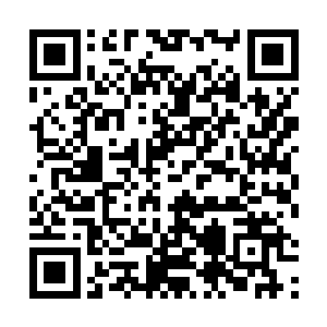 吕轻尘没理由在天地大冲撞中损失了两座至尊战堡之后二维码生成