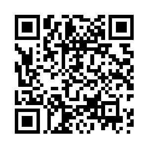 吕轻尘用闪电模拟出两只绿豆小眼二维码生成