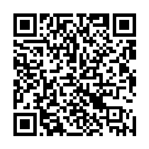 吕轻尘的每一串生命信息和每一枚神魂残片都要被撕成粉末二维码生成